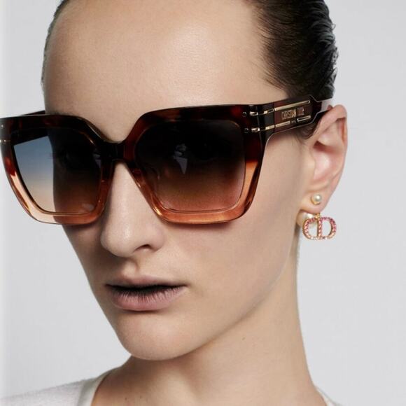 NEW!!! CHRISTIAN DIOR Sunglasses DiorSignature S10F 25F2, Authentic - Picture 2 of 12